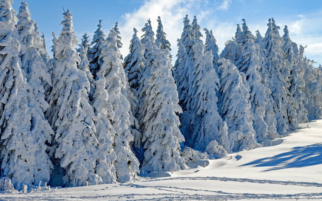 Lorem ipsum dolor sit amet, consectetur adipiscing elit